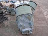 SOLD: Used 150 HP Vertical Electric Motor (Reliance)