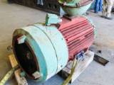 Used 250 HP Vertical Electric Motor (Reliance)