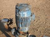 Used 10 HP Vertical Electric Motor (US Electric)