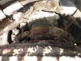 SOLD: Used Twin Disc SP111HP3 Clutch
