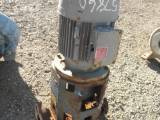 Used 1.5 HP Vertical Electric Motor (US Electric)