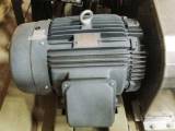 New 40 HP Horizontal Electric Motor (Teco)