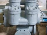 SOLD: Rebuilt Gaso 2652 Duplex Pump Complete Pump