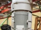 Unused Surplus 50 HP Vertical Electric Motor (Siemens)