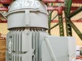 Unused Surplus 50 HP Vertical Electric Motor (Siemens)