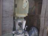 Used 100 HP Vertical Electric Motor (Reliance)