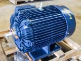 New 60 HP Horizontal Electric Motor (Teco Westinghouse)