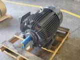 New 25 HP Horizontal Electric Motor (Teco Westinghouse)